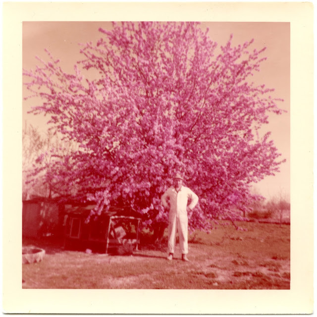 pinktreeman